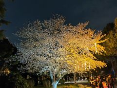 -堤角公园