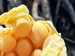 -利强记北角鸡蛋仔(弥敦道店 )