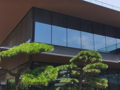 -晓长安·新陕菜(曲江店)