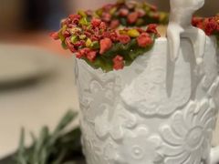 -伊斯坦布尔土耳其清真咖啡餐厅