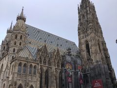 -斯蒂芬主教座堂(Stephansdom)
