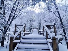 -青峰峡国家森林公园