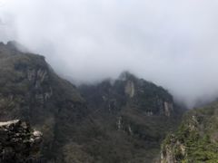 -牛背梁国家森林公园