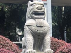 -华东政法大学(松江校区)