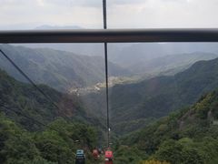 -王顺山国家森林公园