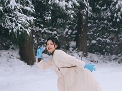 -武陵山森林公园