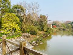 -上海海湾国家森林公园