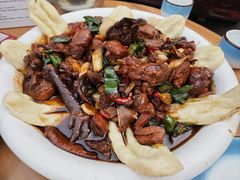 -向民炒鸡老店(金泰华府店)