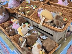 -大润发(康桥店)