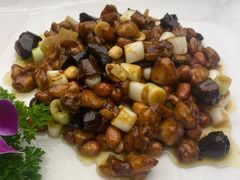 -芙蓉凰花园酒楼