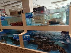 -双井轩(双井店)