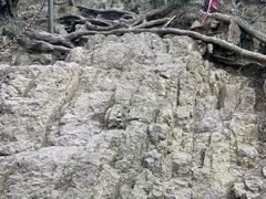 -香炉山国家森林公园
