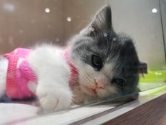 -乐宠宠物店(世纪金源店)