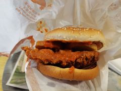 大盘鸡风味麦辣鸡腿汉堡-麦当劳(王顶堤店)