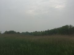 -太湖湖滨国家湿地公园-停车场