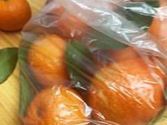 -百果园PAGODA(应元路店)