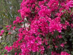 -广州神农草堂中医药博物馆