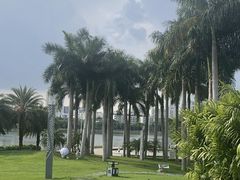 -南宁南湖公园