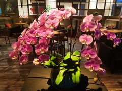 -JINNS锦时 steak&pizza(浸信会礼拜堂旧址店)