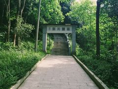 -神光山国家森林公园