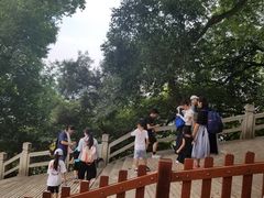 -灵岩山风景区