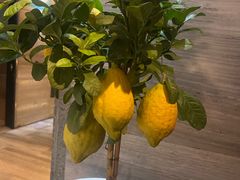 -茅庐·川粤精品私房菜(金沙遗址店)