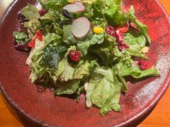 田园时蔬沙拉-布拉格餐厅· 中欧捷克菜(全国首店)