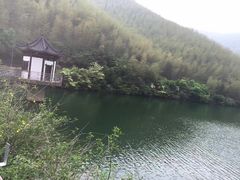 -镇江市南山风景名胜区竹林景区