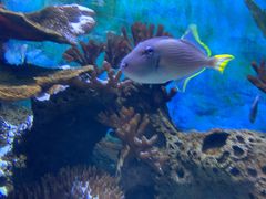 -多彩贵州城极地海洋世界