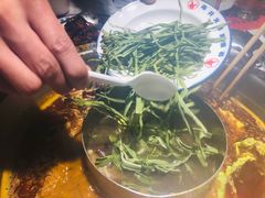干贡菜-贤合庄卤味火锅(勒泰中心店)