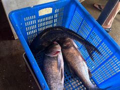 -岳各庄批发市场(西四环中路店)