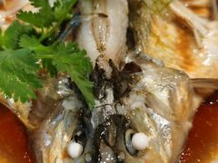 -宁波柏悦酒店·钱湖渔港