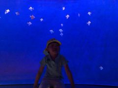 -沈阳海洋探索中心