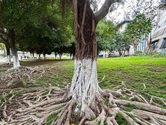 -中国客家博物馆