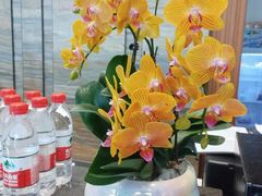 -格林东方酒店(独墅湖尹山湖郭苑路地铁站店)