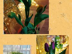 -双季花艺园艺市场(浦东店)
