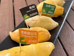 -榴莲BB 四季果园