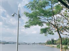 -五缘湾湿地公园