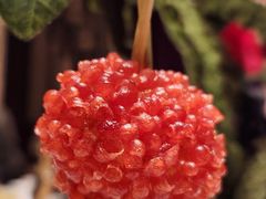 -中国坊中餐厅(石家庄希尔顿酒店)