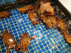 -阿明小菜·海鲜·上海菜(梅陇华理店)