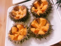 -海胆小馆(东北水饺·春柳店)