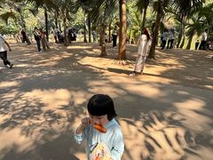 -西双版纳总佛寺