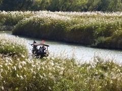 -西溪国家湿地公园