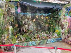 -北京植物园-展览温室