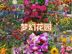 -东莞植物园