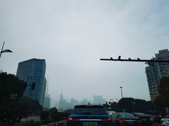 -Peet's Coffee皮爷咖啡(大学路店)