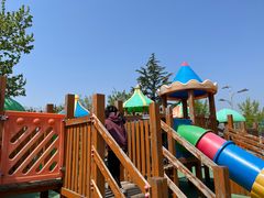 -羊亭河湿地公园