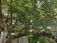 -岳麓山风景名胜区