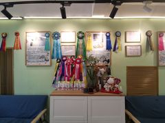 -猫十亿·布偶金渐层·曼基康矮脚猫舍(青年路店)