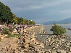 -深圳湾公园(南山区)